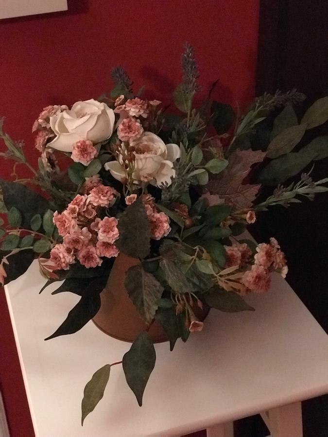 كارماجنولا B&B Binot المظهر الخارجي الصورة